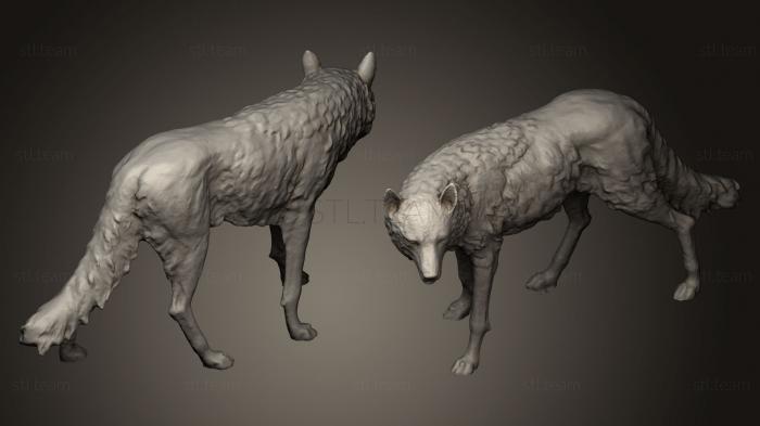 3D модель Бронзовая статуя Волка (STL)